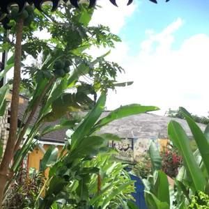 Meet your Posher, Anne